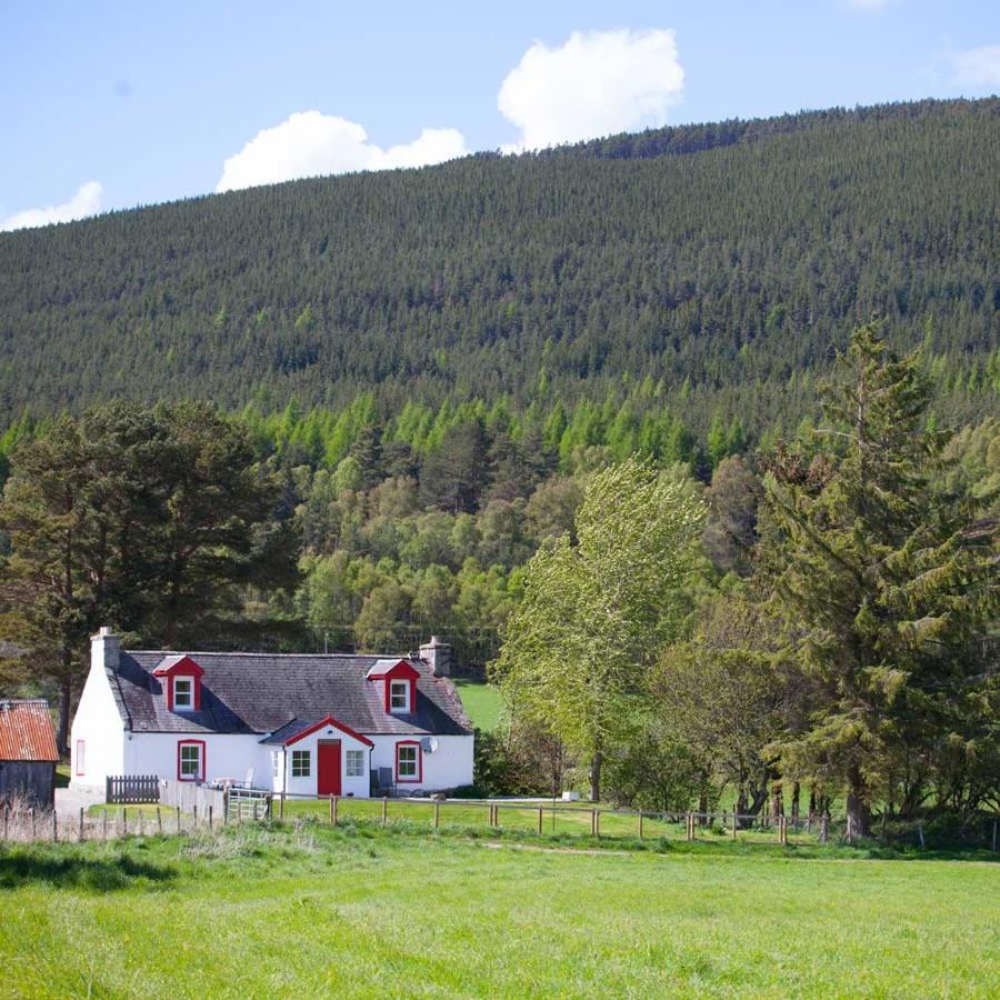 The Croft Cottage - Near Aviemore Exterior foto